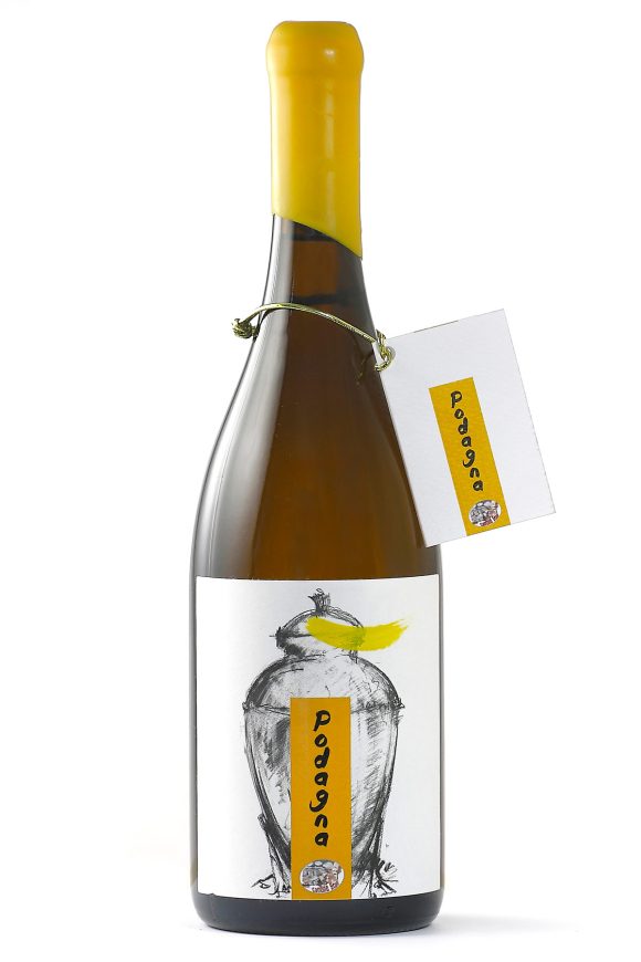 Vino TESTAGNA- Cantine Stoli