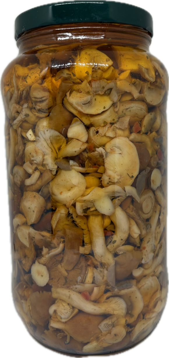 Tris di Funghi - immagine 2